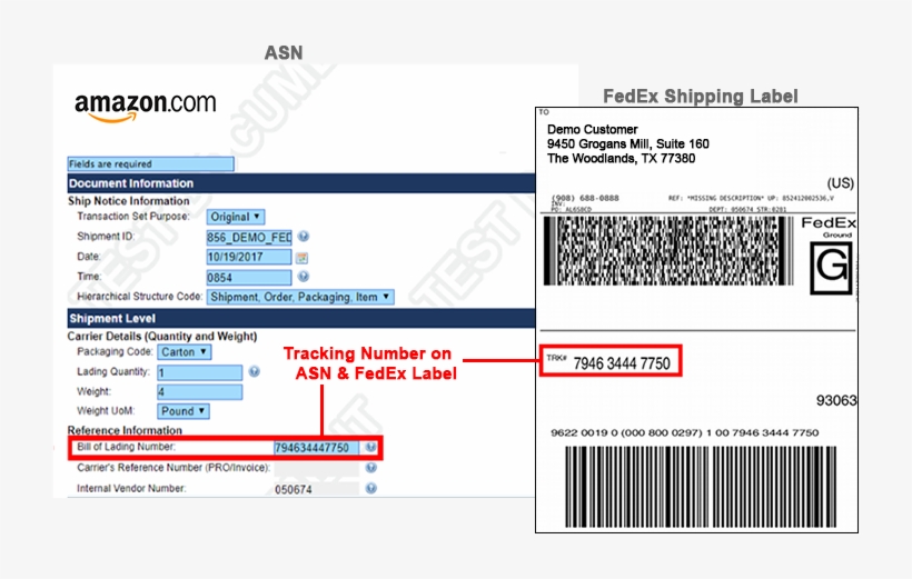 Sample Fedex Edi Integration Advance Shipment Notice - Amazon Video, transparent png #8702256