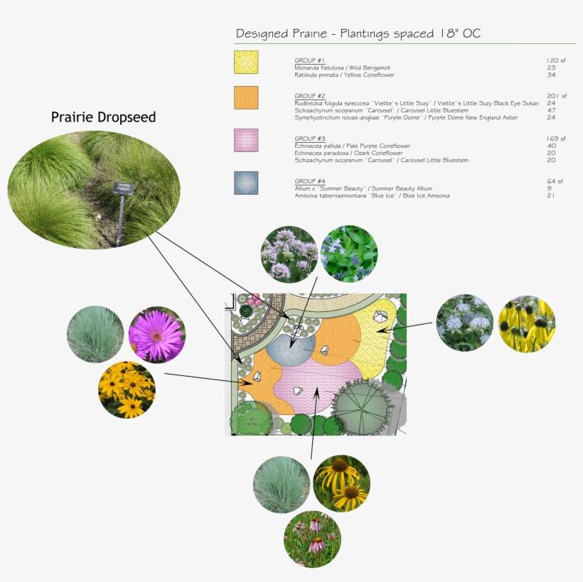 Creating Order With A Frame Of Turf Grass And A Split - Naturalistic Landscape Plant Designs, transparent png #8702538