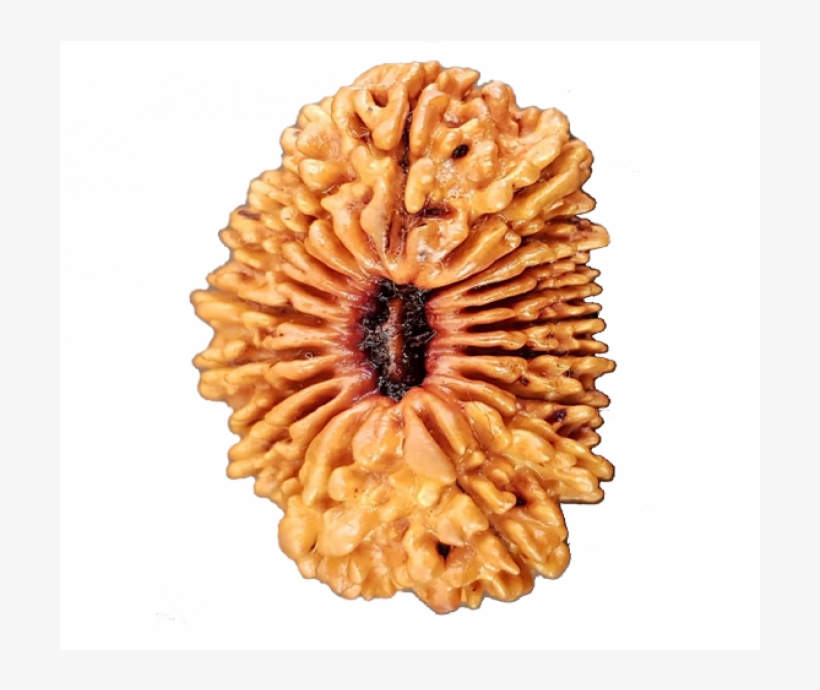 Pastry, transparent png #8702622