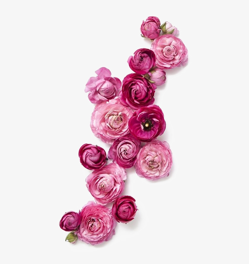 Rose Flower Wedding Invitation Pink - Roses Png, transparent png #8705072