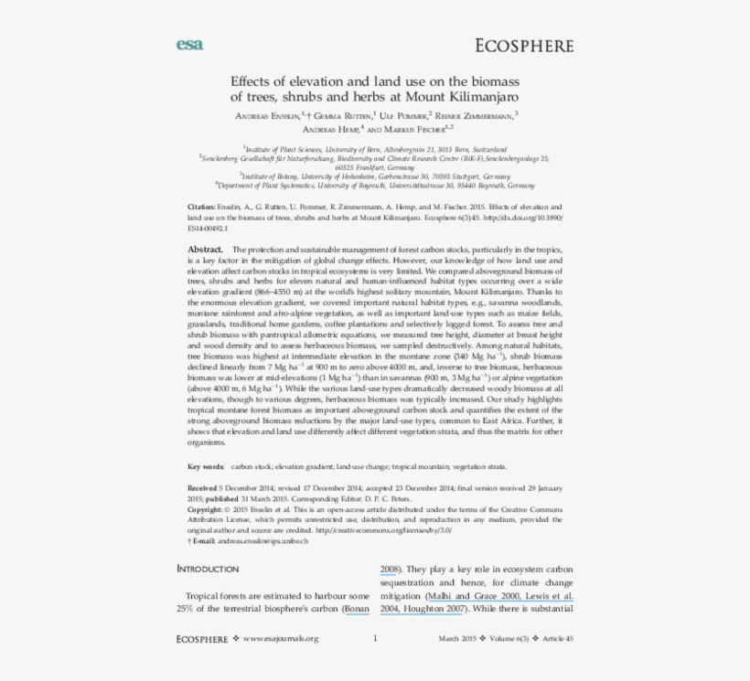 Pdf - Document, transparent png #8705509