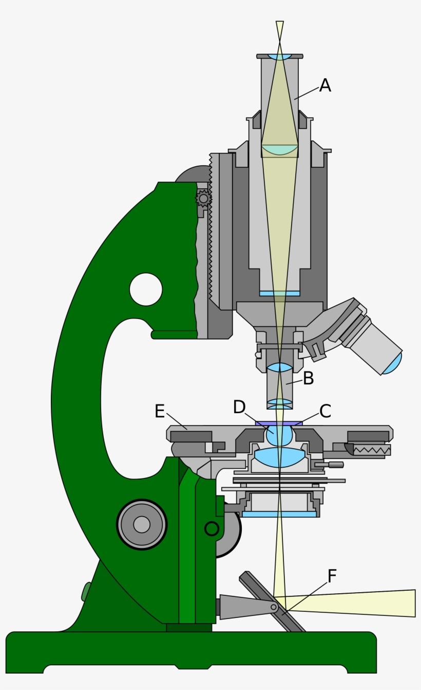 Open - Refraction Of Light In Microscope, transparent png #8706475