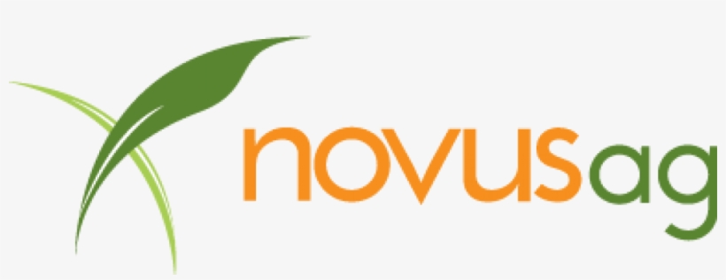 Cropped Eps Version Of Novus Logo - Tan, transparent png #8707402