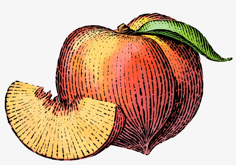 Clipart Free Download Nutrition Clipart Mixed Fruit - Transparent Peach Illustration, transparent png #8707504