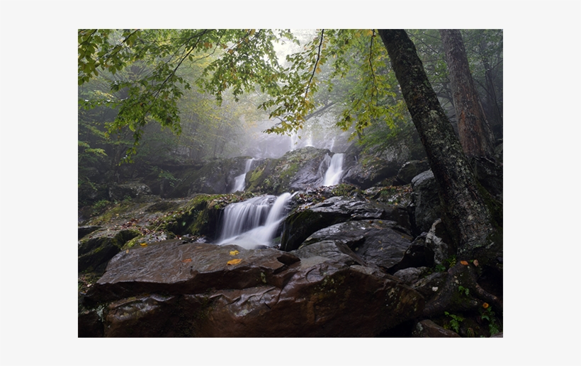 Dark Hollow Falls Of Shenandoah National Park In Virginia, transparent png #8707918