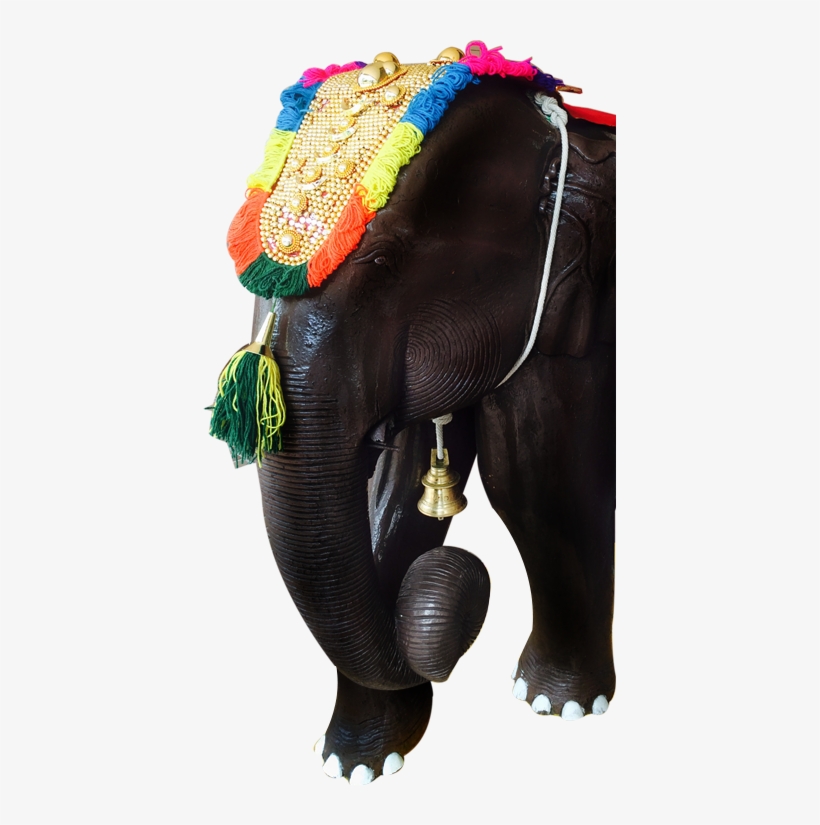 2019 Omar Shariff - Indian Elephant, transparent png #8708410