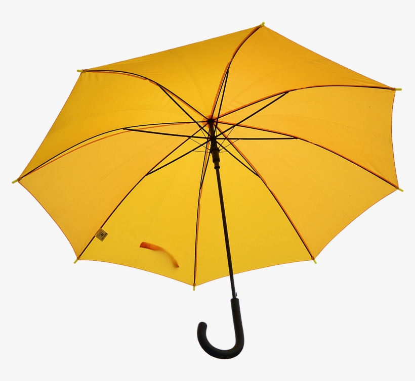 Umbrella Free, Weather, Rain, Screen, Wet, Raindrop - Umbrella, transparent png #8708580