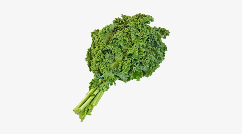 Canvas Print Png Native Kale Green Local Vegetable - Kale Shake, transparent png #8708708