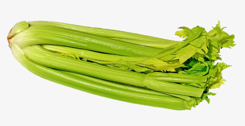 Celery, Vegetables, Vegetable, Green - Celery Fresh, transparent png #8708759