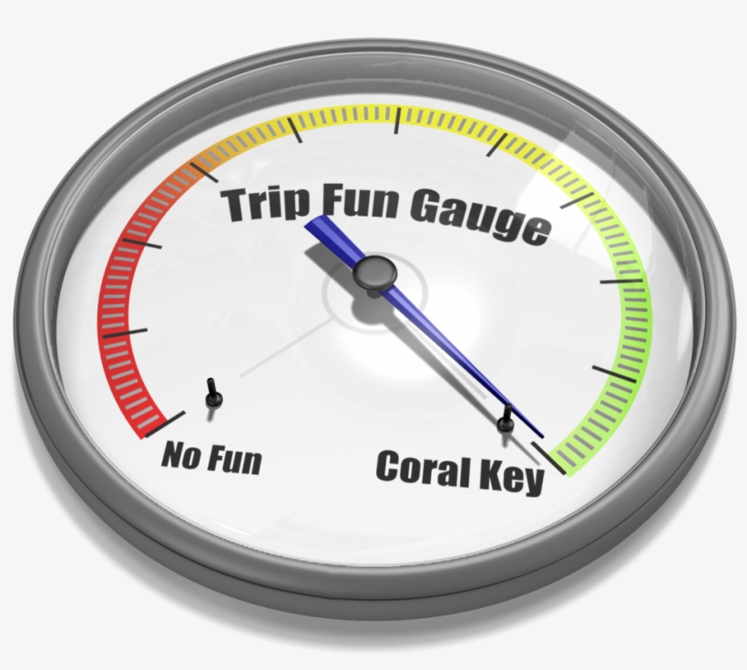 Gauge Needle Max 18448, transparent png #8708939