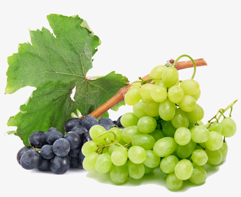 Grapes Free Png Image - Grape, transparent png #8709079