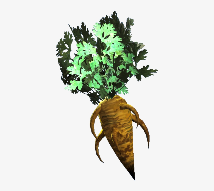 Fresh Carrot - Homarus, transparent png #8709666