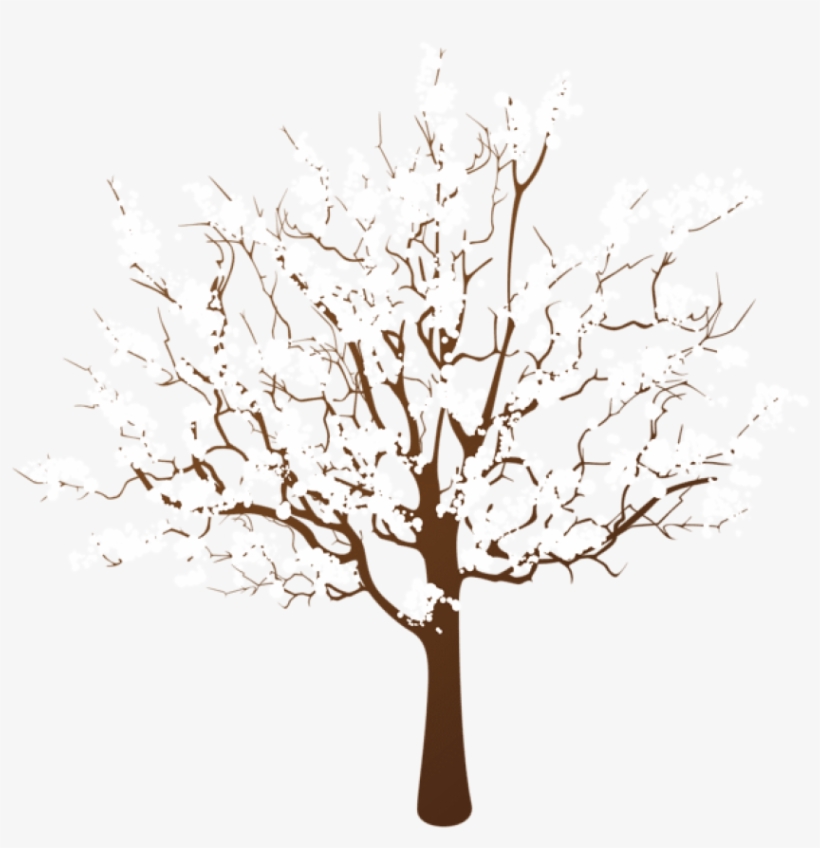 Free Png Winter Tree Transparent Png - Winter Tree Clipart Png, transparent png #8709873