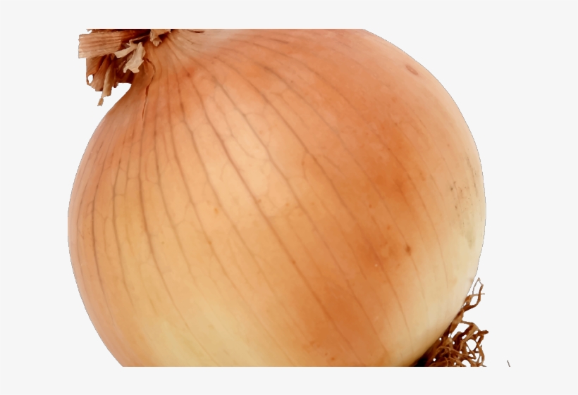 Onion Clipart Vegitables - Onion, transparent png #8710134