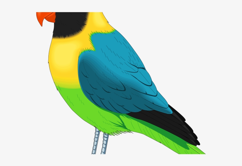 Indian Clipart Parrot - Birds Clip Art, transparent png #8710175