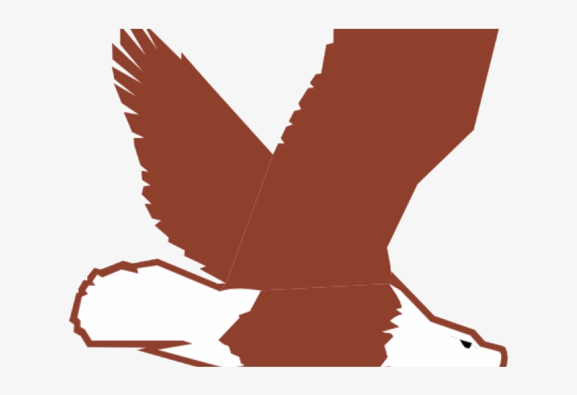 Bald Free On Dumielauxepices Net - Eagle Transparent Cartoon, transparent png #8710499
