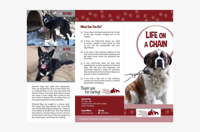 Life On A Chain - Dog's Life On A Chain, transparent png #8710534