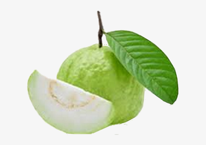 Guava Contains Nutrients That Help Curb All Kinds Of - Guava, transparent png #8710975