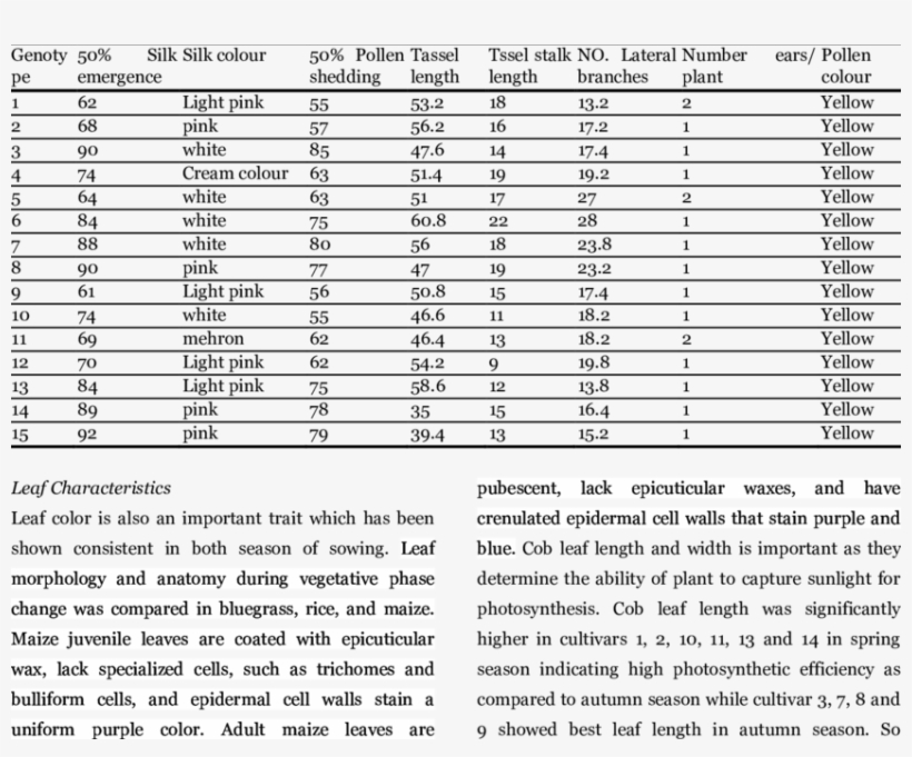 Morphological Traits Of Sweet Corn In Spring Season - Zest Xt Rt 90ps, transparent png #8711140