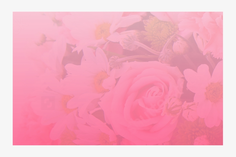 Birthday - Garden Roses, transparent png #8711719