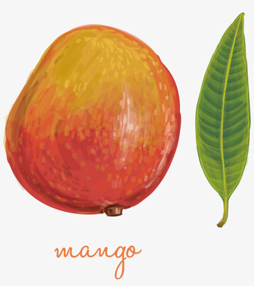 Apple, transparent png #8711972