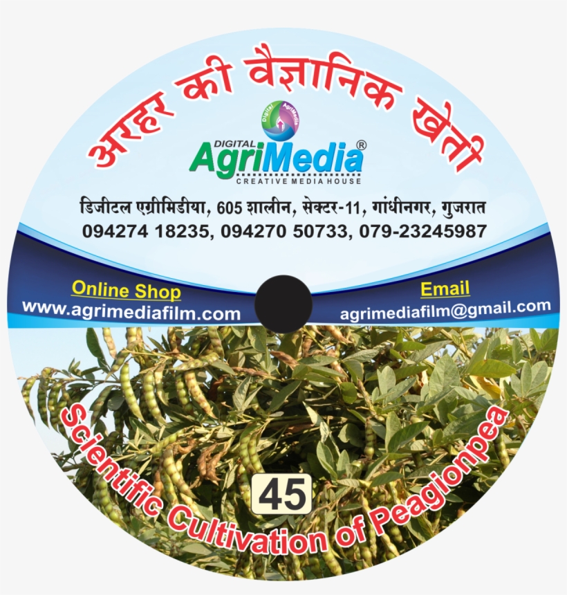 Arhar Ki Vaiganik Kheti - Cd, transparent png #8712252