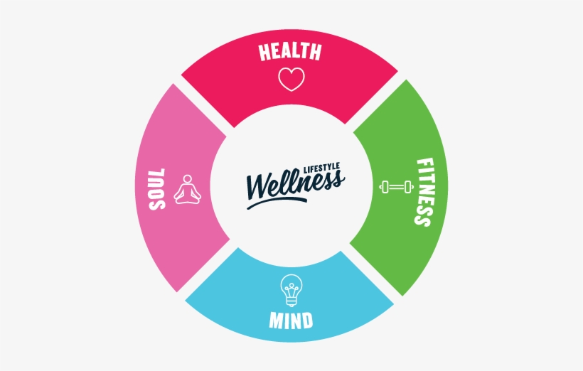 Lifestyle Wellness - Football Basketball Tennis, transparent png #8714169