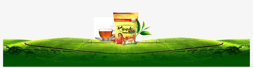 About Us Bg - Kannan Devan Tea Logo, transparent png #8714547