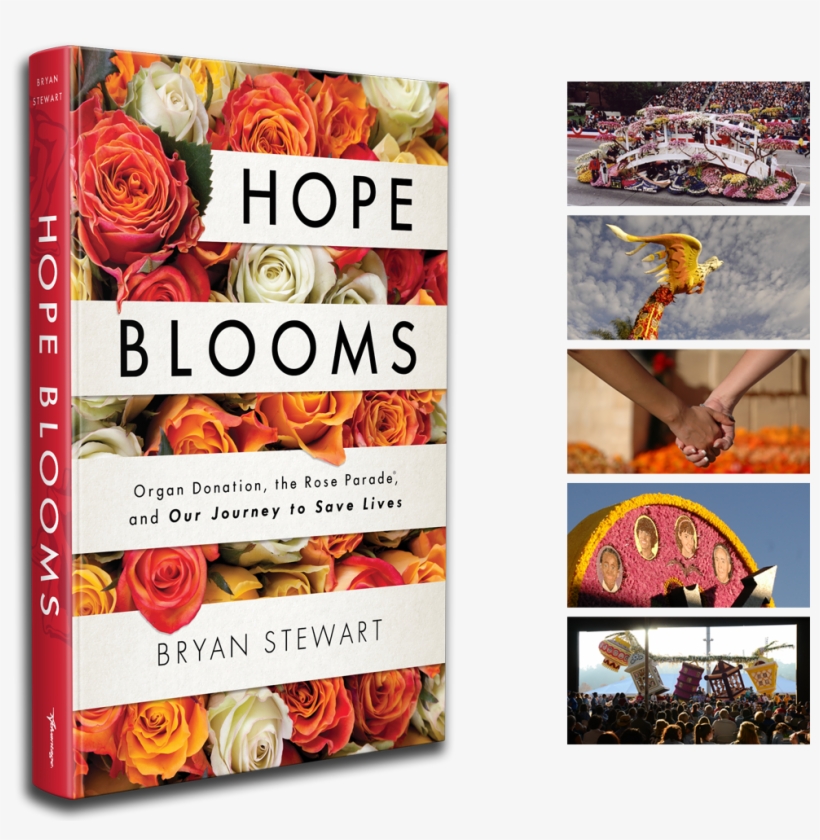 The First Ever Behind The Scenes Account Of Rose Parade - Garden Roses, transparent png #8714619