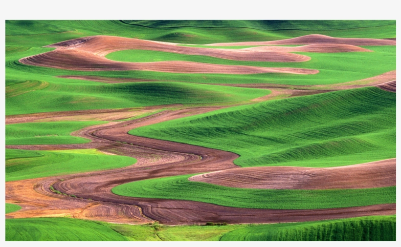 Score 50% - Wallpaper, transparent png #8715236