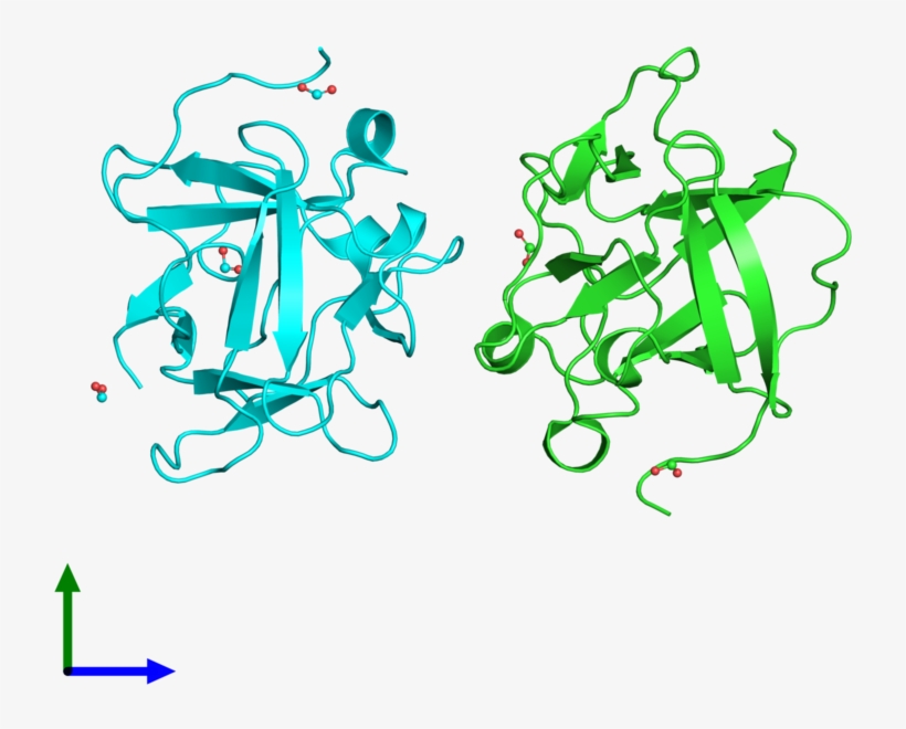Pdb 3fj9 Coloured By Chain And Viewed From The Front - Illustration, transparent png #8715547