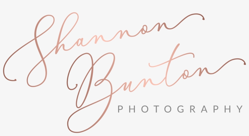Hamilton Wedding Photography - Calligraphy, transparent png #8715996