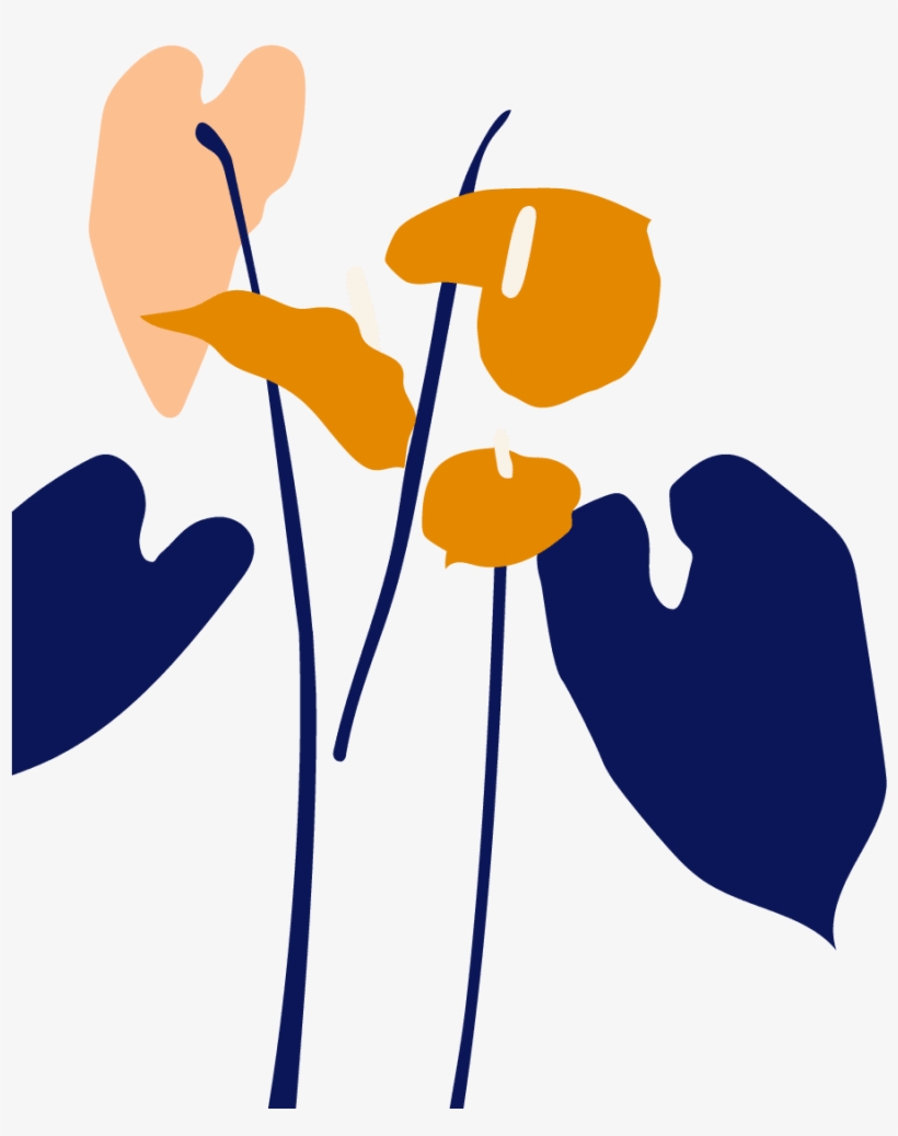 Botanical Name, transparent png #8716403