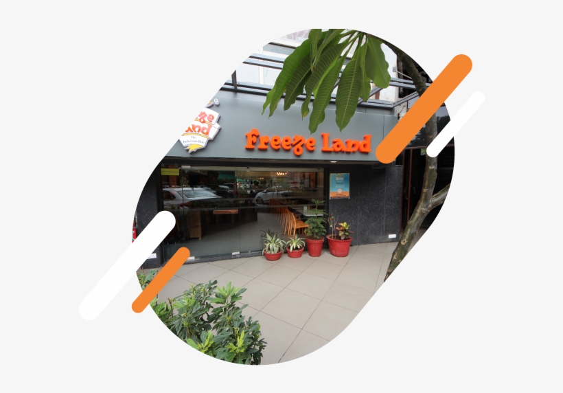 Christmas Tree, transparent png #8717052