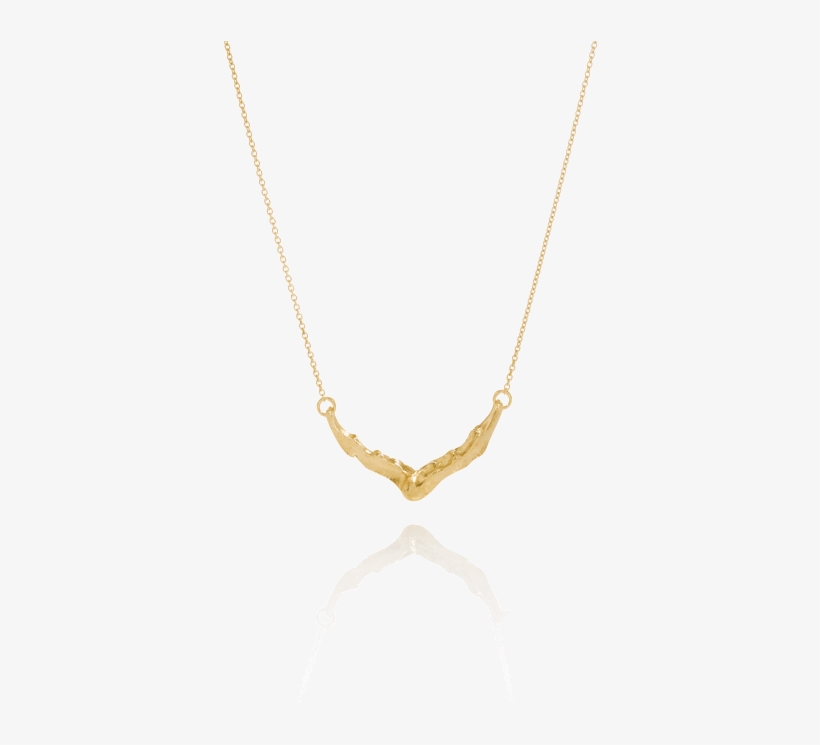 Cygnus Necklace - Pendant, transparent png #8717613