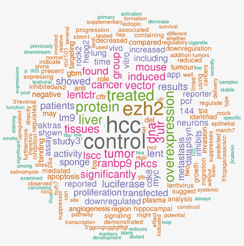 Sort By - Keyword Cloud, transparent png #8717618