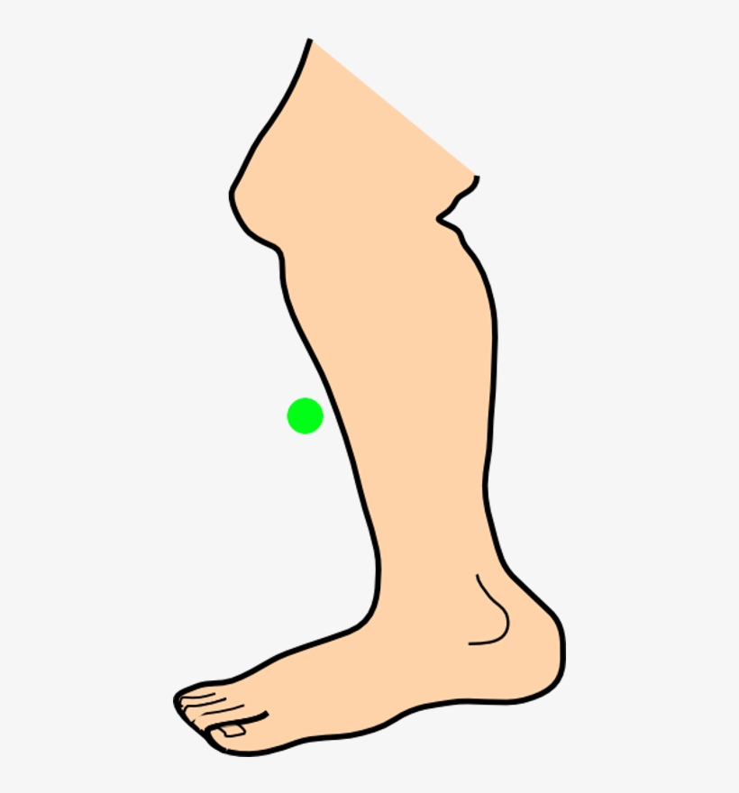 Shin - Leg Png Clipart Animated, transparent png #8718450