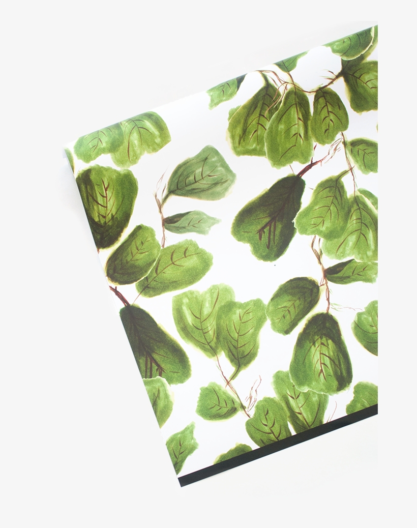 Fig Life Gift Wrap - Trachemys, transparent png #8718884