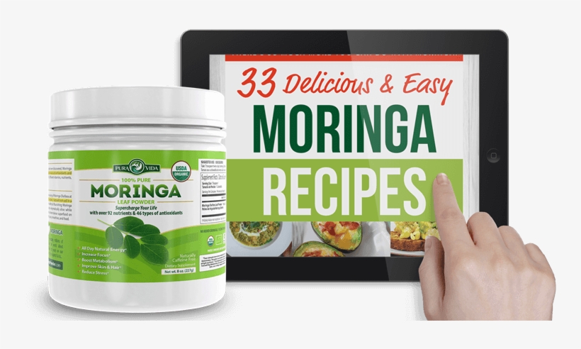 Discover Our Products - Palm Tree, transparent png #8719392