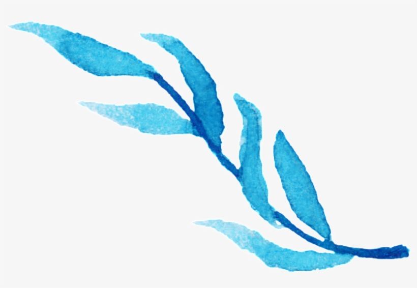 Willow Branches Decorative, transparent png #8721590