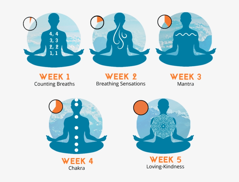 Png Library Archives Finding Health Wellness Master - Meditation Tips, transparent png #8721593