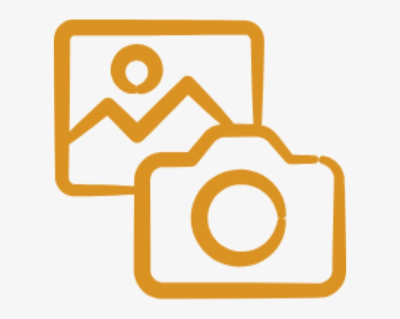 Wildlife Photography, transparent png #8721733