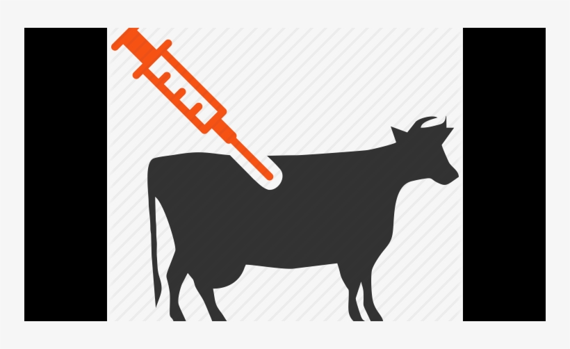Meeting Local Demand For Animal Vaccine - Vaccination Poster In Animal, transparent png #8722294
