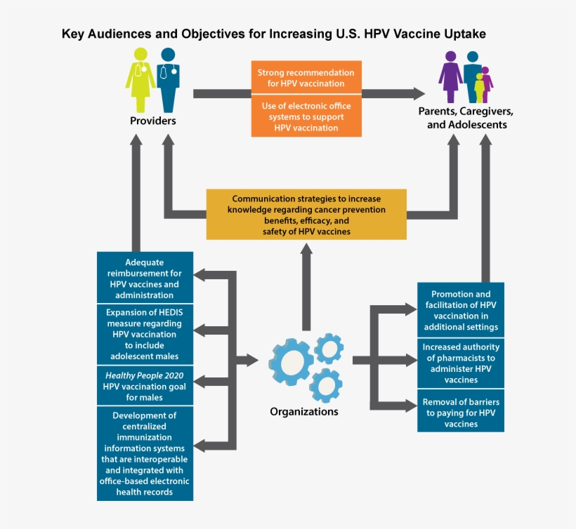 Key Audiences And Objectives For Increasing U - Healthy People 2020 Objectives Hpv, transparent png #8722360