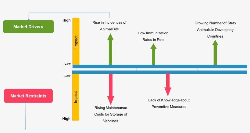 Rabies Vaccine Market - Androgenetic Alopecia Market, transparent png #8722566