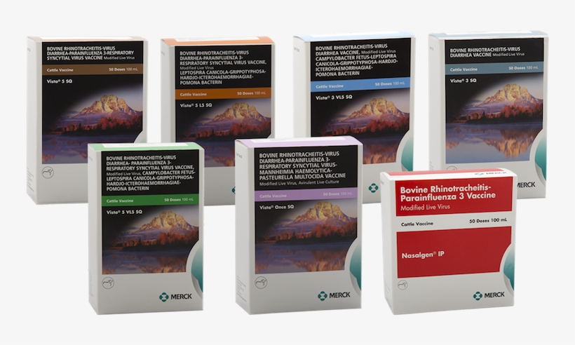 Vista® Vaccines - Tablet Computer, transparent png #8722650