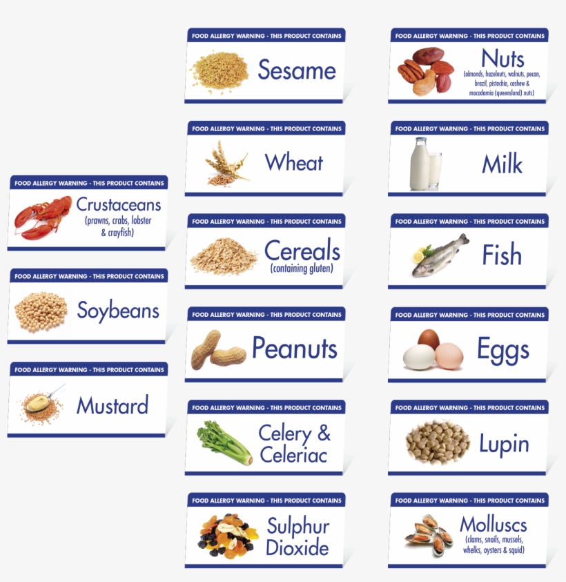 Animal, transparent png #8722673