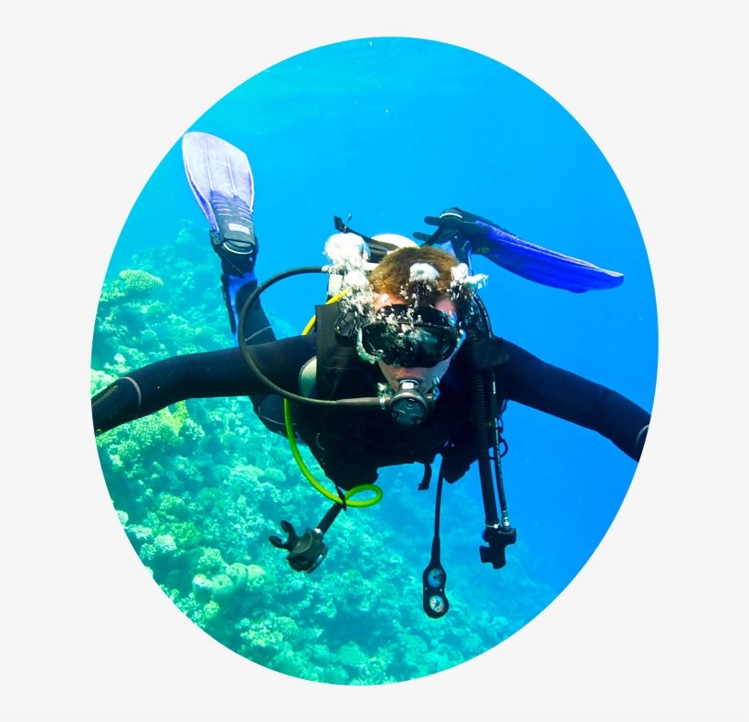 Prevnext1 2 3 - Template Plongée Wordpress, transparent png #8723301