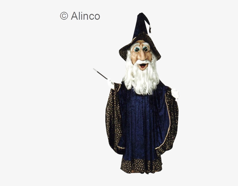 Costume Hat, transparent png #8723355