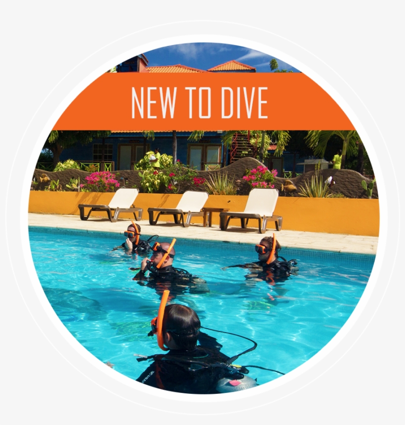 Scuba Diving - Swimming Pool, transparent png #8723461